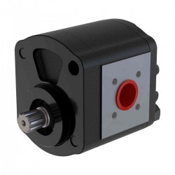 Cast Iron Body Helical Gear Pump - Group 20 Cast Iron Body Helical Gear Pump - Group 20