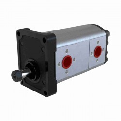 Aluminum Body Tandem Pump - Group 20/20 Aluminum Body Tandem Pump - Group 20/20